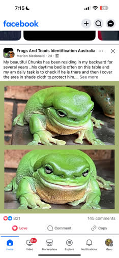 thumbnail of chunks.jpg