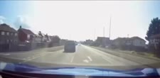 thumbnail of 1736364066345534.webm