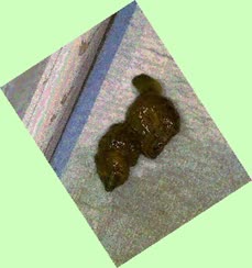 thumbnail of mB4t9nb.jpg