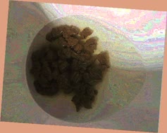thumbnail of WPD4zXZ1.jpg