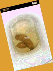 thumbnail of RAvvuYJwhb45w0Vv.jpg