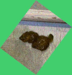 thumbnail of cwJwQxuvns8g.jpg