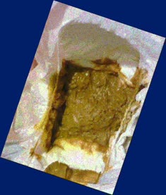 thumbnail of auJNzqhLqks9V6VjSZ7.jpg
