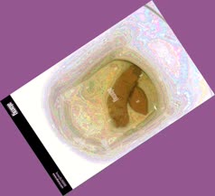 thumbnail of S7C4dACuoVHh7EcIX8.jpg