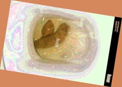 thumbnail of KyPSjqrR0mY.jpg