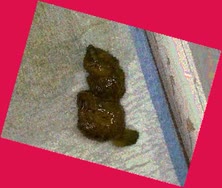 thumbnail of x3Xunz3INhdLlxTL.jpg