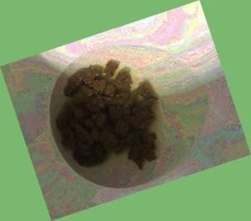 thumbnail of ew74dH.jpg