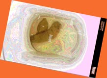 thumbnail of B91dsvae.jpg
