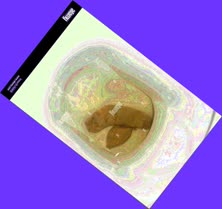 thumbnail of K0P94FD2Ktr0T2U.jpg