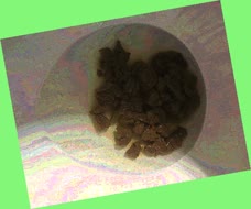 thumbnail of r6D7gKUOca55CGlmyJu.jpg