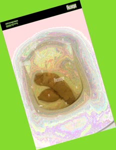thumbnail of REQ4lP4lqUrNJuupqI.jpg