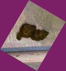 thumbnail of vsjIt2RHTpBH0jA7GDj.jpg