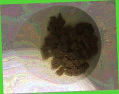 thumbnail of IiW0t.jpg