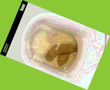 thumbnail of El35UzTWGzjVpML.jpg