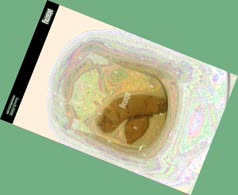 thumbnail of yqNata8r.jpg