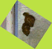 thumbnail of 7XU0Tc3LX4kV6dsEsFx.jpg