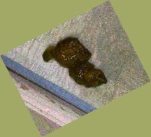 thumbnail of rRmrkX6u3.jpg