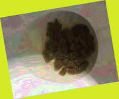 thumbnail of unlykmyNVEEXzsNne.jpg