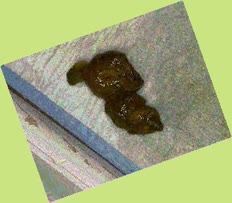 thumbnail of IWsQGr0AMAQDOPO.jpg