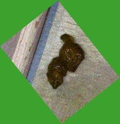 thumbnail of 4lP8NLhP3.jpg