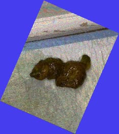 thumbnail of MJc0la7GhJFj6.jpg