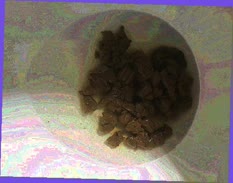 thumbnail of 8EfhlthIyarHx3D.jpg