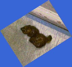 thumbnail of qEB8Jb9xHhyQJ.jpg
