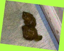 thumbnail of wnARUEFo.jpg