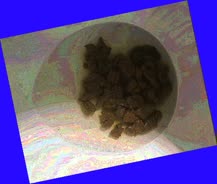 thumbnail of rnflGo7PK.jpg