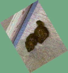 thumbnail of JlKwkaSdOc6jhLtSuNV0.jpg