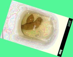 thumbnail of 0ePjIr8UPA1R.jpg