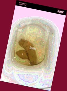 thumbnail of cRLftj1n29IEQdpZ.jpg
