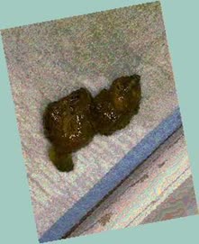 thumbnail of G3hADbEVEk.jpg