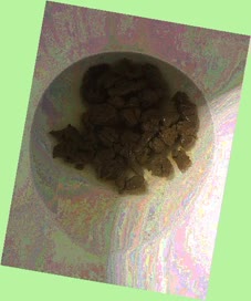 thumbnail of HvYE0uD4shUZQF8.jpg