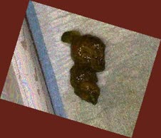 thumbnail of 4VvHGV8xuUfgSe1DFA.jpg