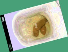 thumbnail of WWGEdWvKRL.jpg