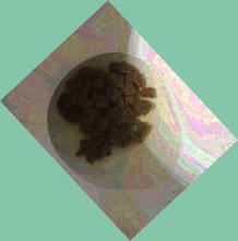 thumbnail of 3toFBL2P1.jpg