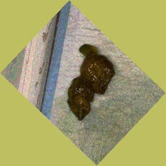 thumbnail of lHlzFh1fK2ku6.jpg