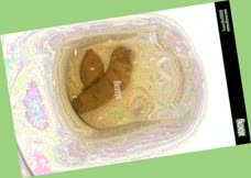 thumbnail of nZi7IZ1EaBKXrNVsk.jpg