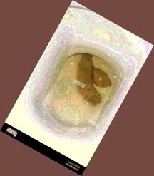 thumbnail of f9kIQyIPrmsqSjANXn6B.jpg