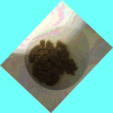 thumbnail of gWGa9POjPR.jpg