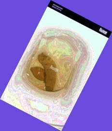 thumbnail of OnvZzfAGhGu1.jpg