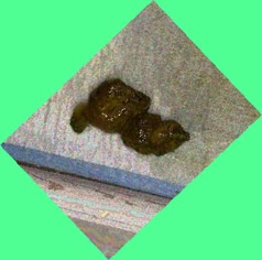 thumbnail of e2EI5jHUGI9mxa7Ab.jpg