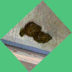 thumbnail of qDu3nrmVz4czdiq.jpg