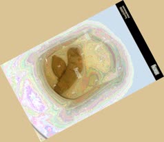 thumbnail of vtvGDKbO0JY7.jpg