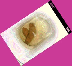 thumbnail of 3xQkzDXQvx7jc1NV.jpg