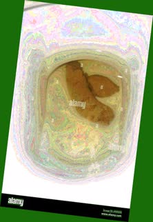 thumbnail of VxkAsAohFg3xWsjEus.jpg