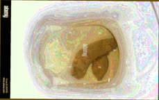 thumbnail of 6Sc6BFaW9.jpg