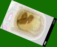 thumbnail of D7mGtt8E1p2sYO9.jpg