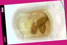 thumbnail of 8eS7kTddA.jpg